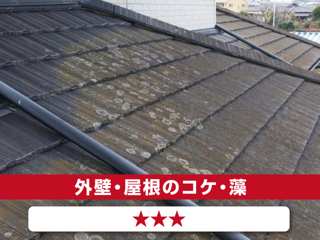 外壁・屋根のコケ・藻